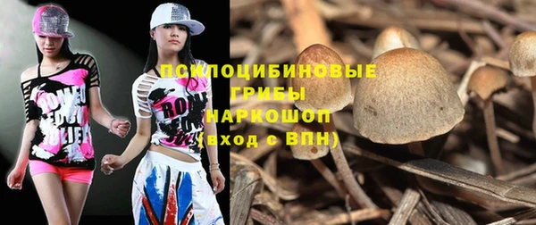 экстази Богородицк