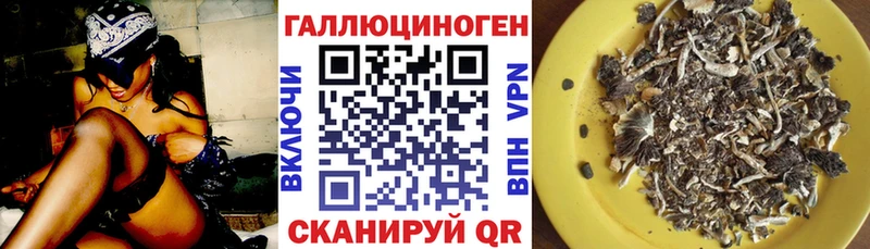 Псилоцибиновые грибы прущие грибы  гидра ТОР  Кирс 